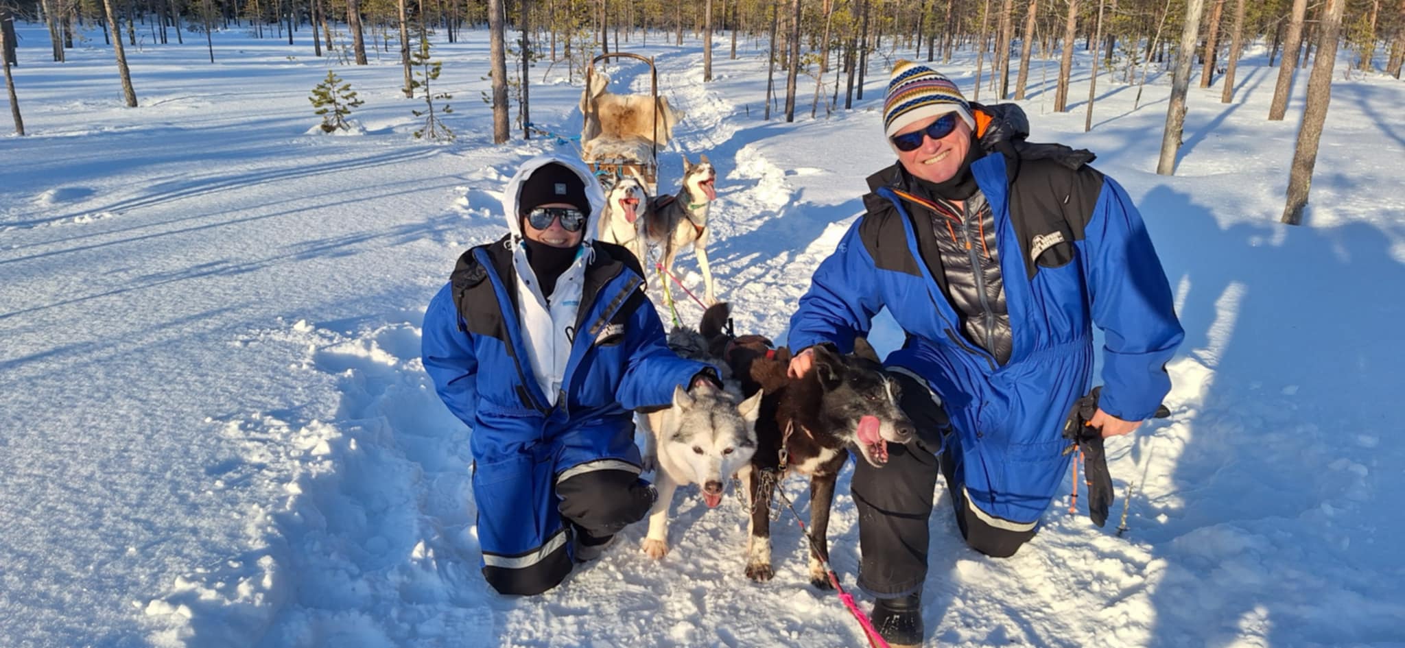 Messenger_creation_DCBF0FAB-32C1-45EA-B122-D51B857C8DE7 Slädhundarna hos Helenessleddogs