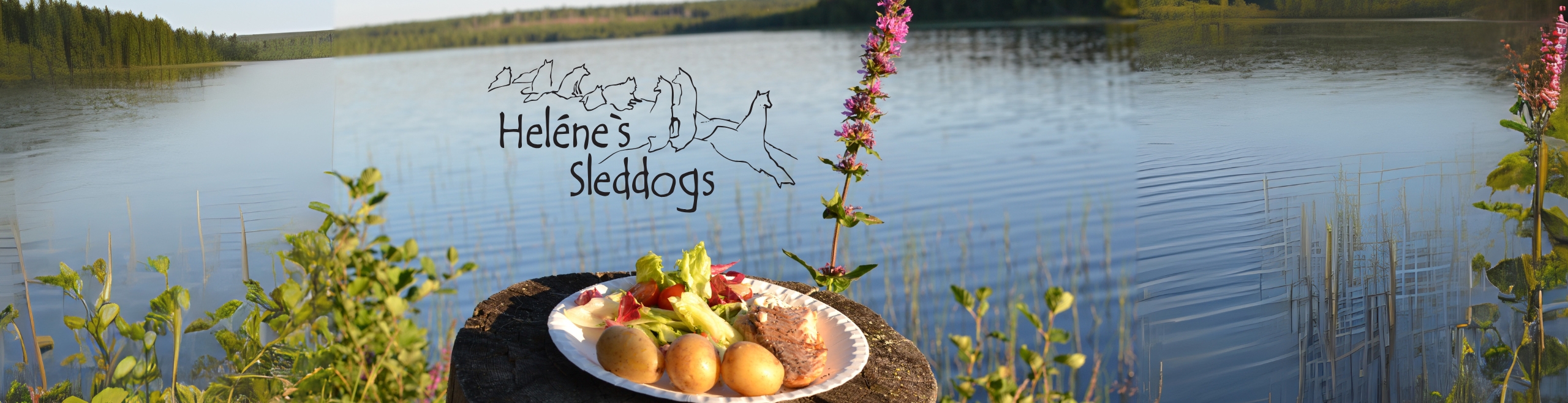 Mat hos Helenes Sleddogs