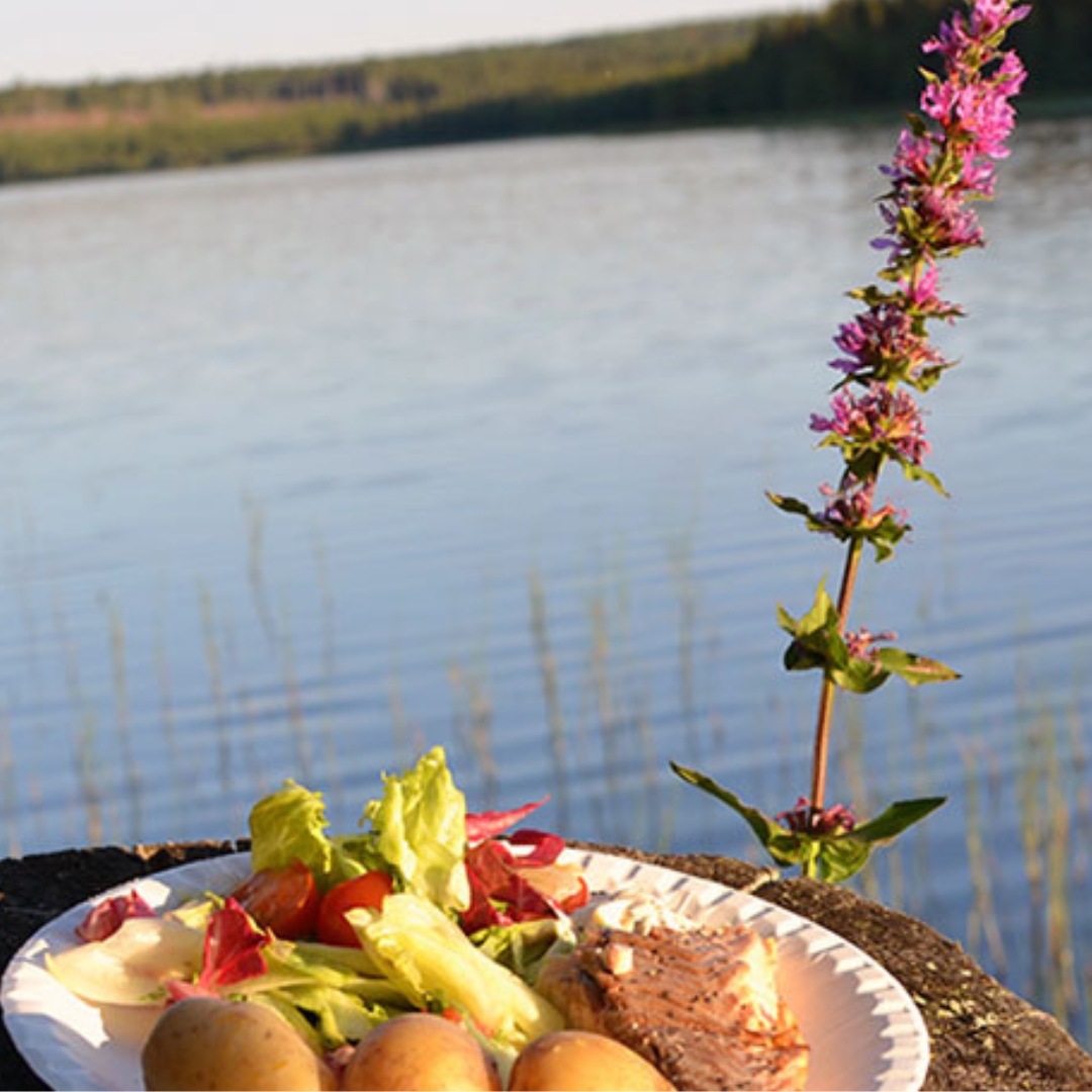 mat2 (1080 x 1080 px) Mat hos Helenessleddogs