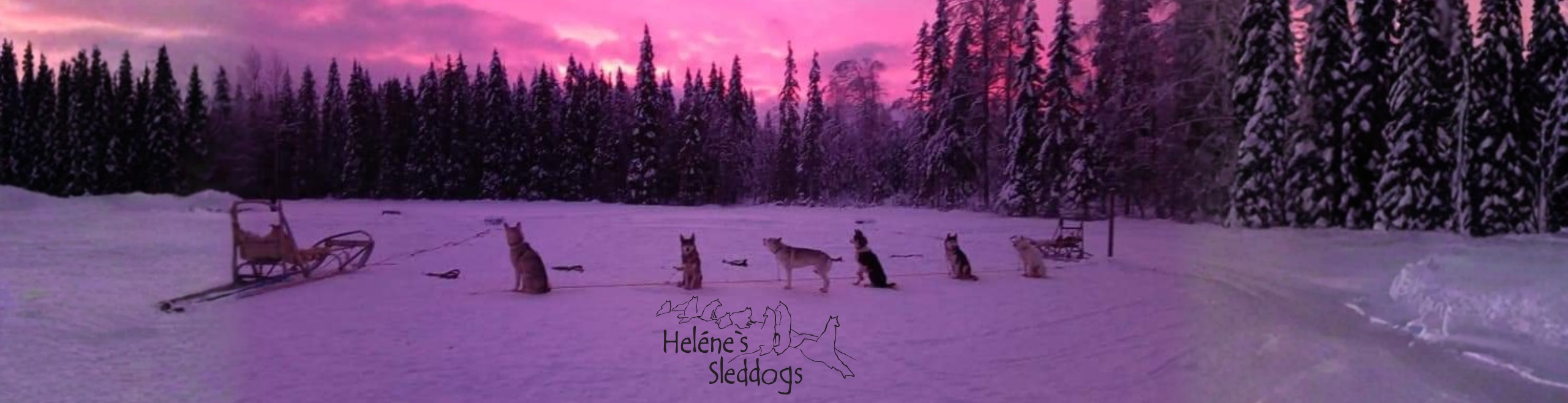 Slider med logo Helenes Sleddogs